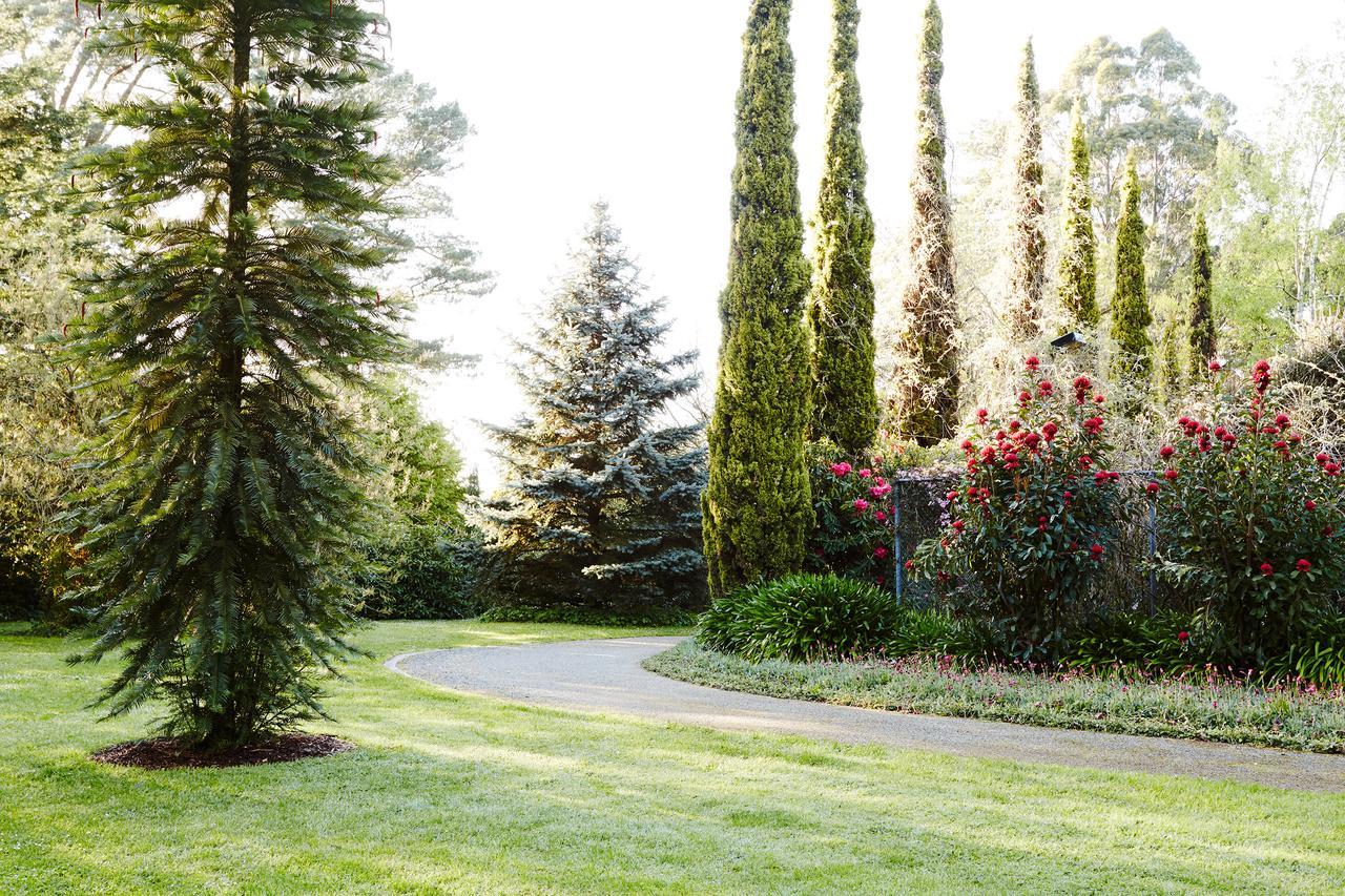 Penzion Beechmont Garden Retreat Olinda Exteriér fotografie
