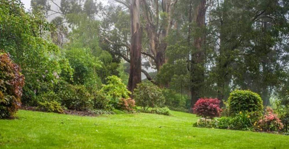 Penzion Beechmont Garden Retreat Olinda Exteriér fotografie