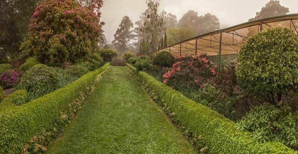 Penzion Beechmont Garden Retreat Olinda Exteriér fotografie