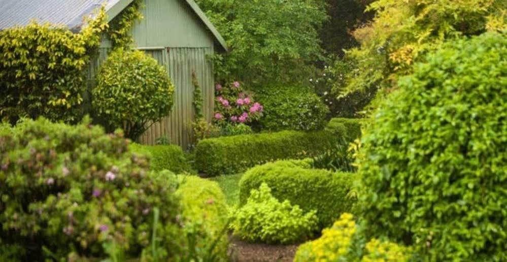 Penzion Beechmont Garden Retreat Olinda Exteriér fotografie