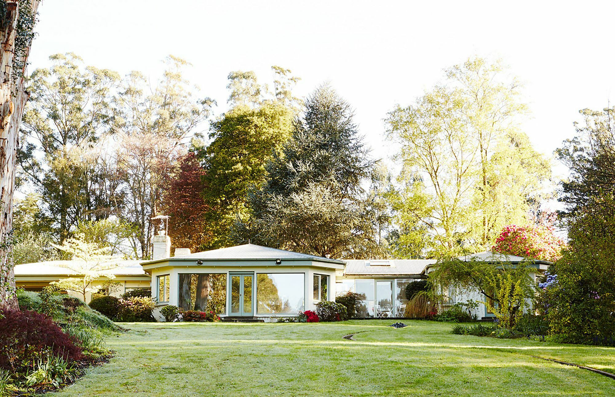 Penzion Beechmont Garden Retreat Olinda Exteriér fotografie